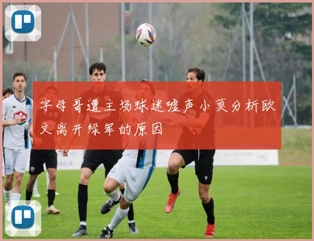 字母哥遭主场球迷嘘声小莫分析欧文离开绿军的原因