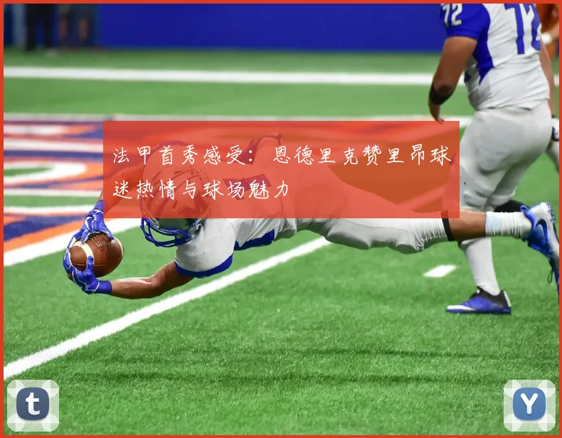 法甲首秀感受：恩德里克赞里昂球迷热情与球场魅力