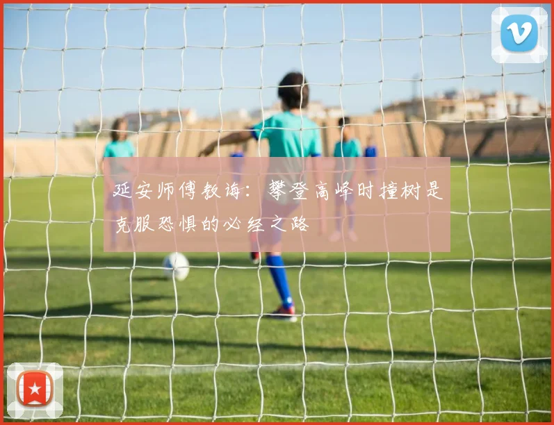 延安师傅教诲：攀登高峰时撞树是克服恐惧的必经之路