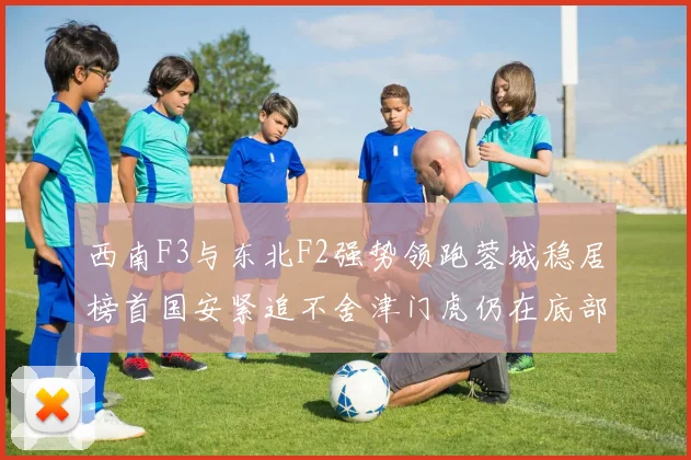 西南F3与东北F2强势领跑蓉城稳居榜首国安紧追不舍津门虎仍在底部挣扎